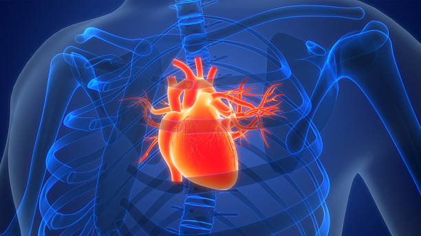 cardiac rehabilitation in srikakulam